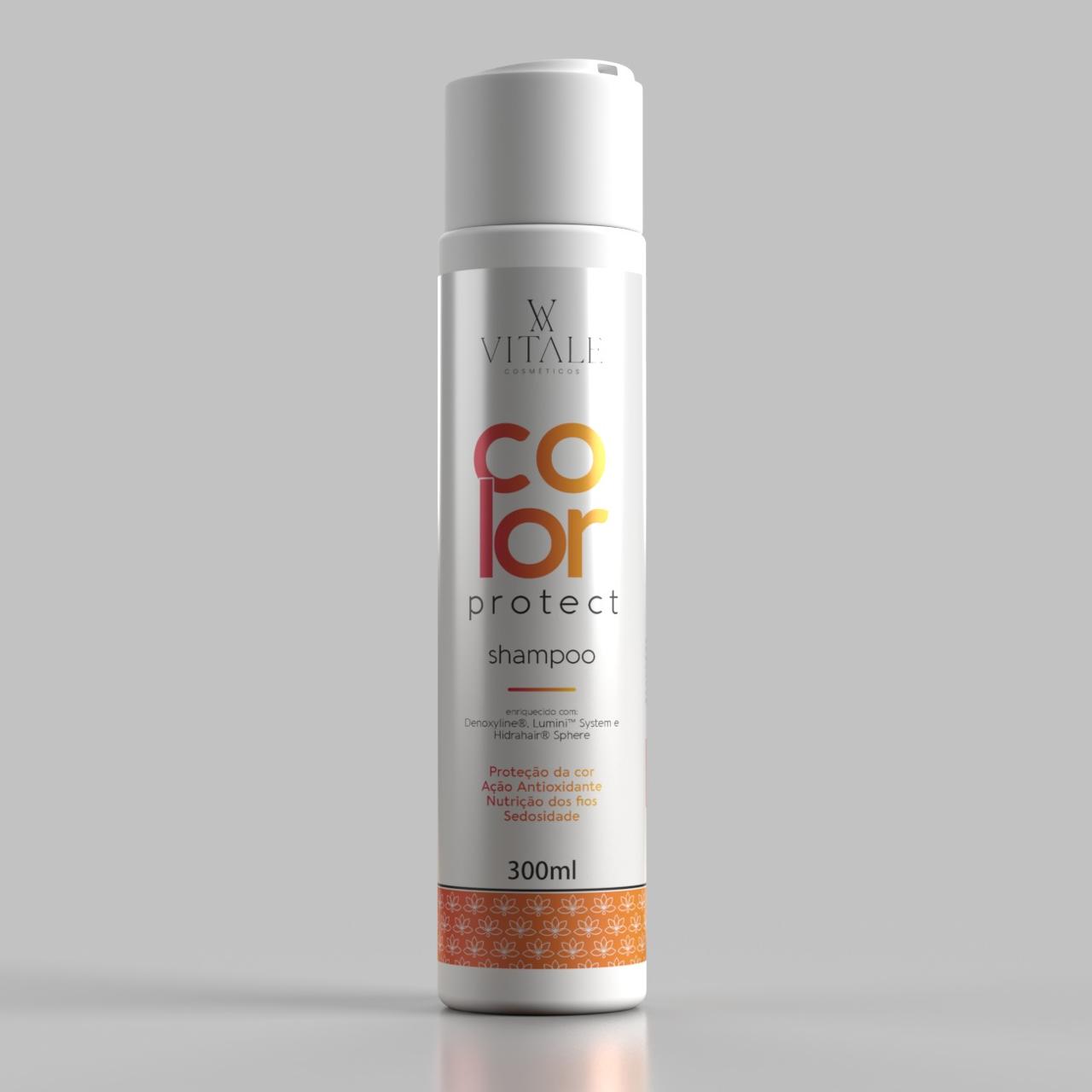 Kit Color Protect - Cabelos Coloridos Hidratados